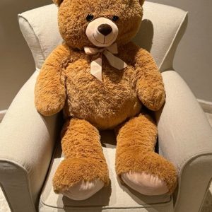 little teddy